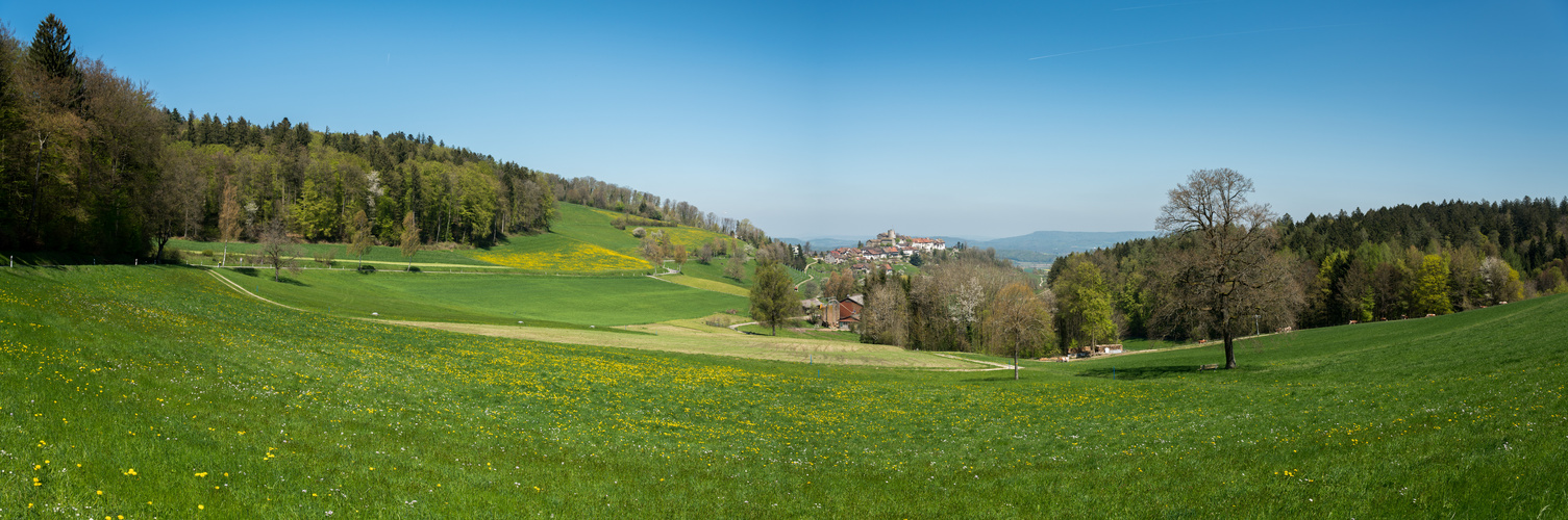 Blick auf die Burg Regensberg