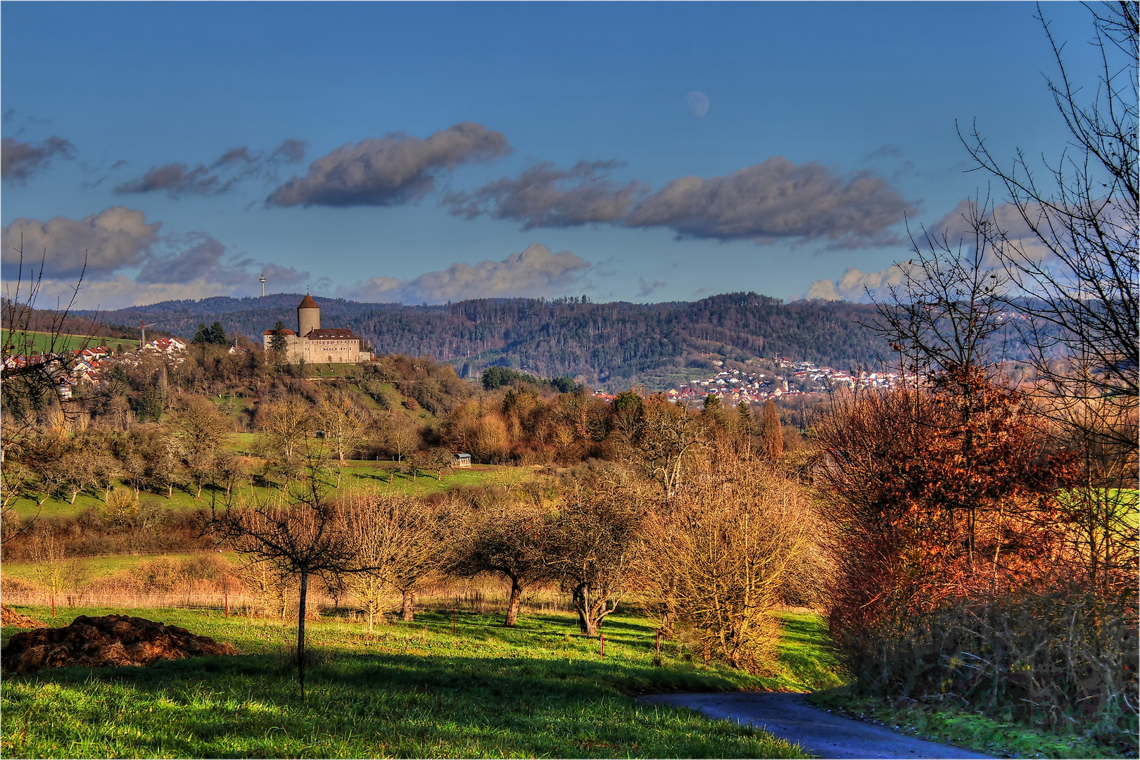 Blick auf die Burg Reichenberg