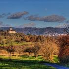 Blick auf die Burg Reichenberg