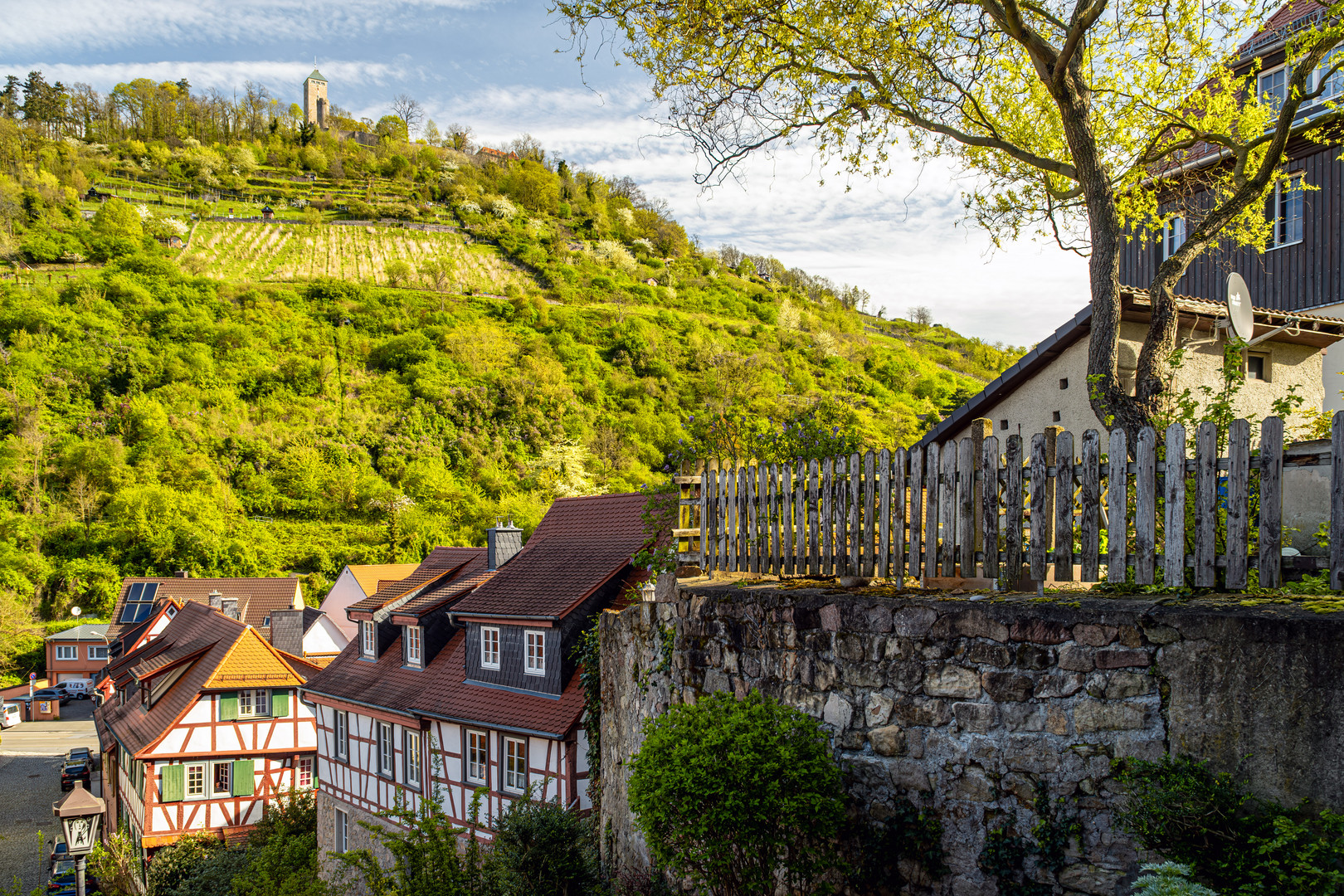 Blick auf die Burg Starkenburg