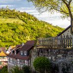 Blick auf die Burg Starkenburg