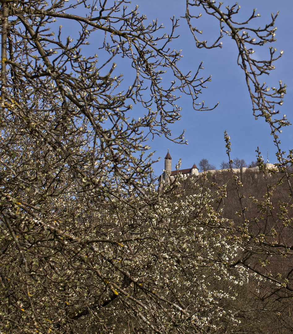 Blick auf die Burg-Teck