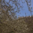 Blick auf die Burg-Teck