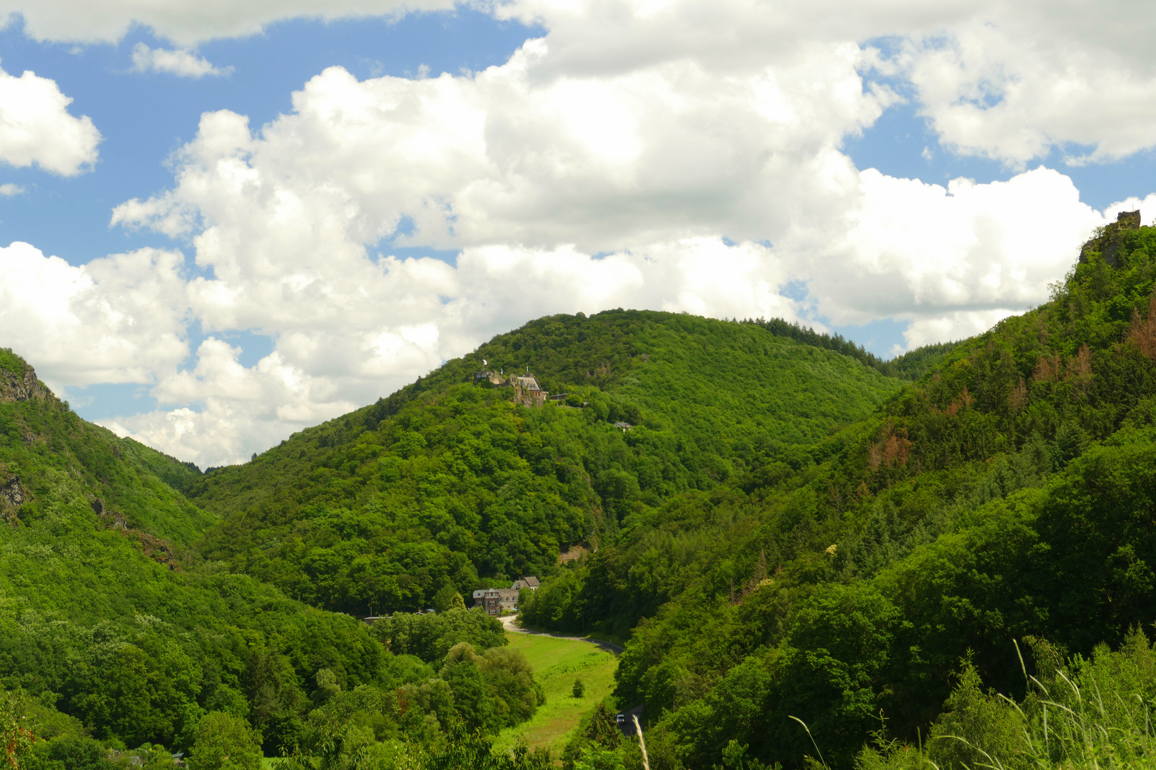 °°°° Blick auf die Burg Veldenz °°°°