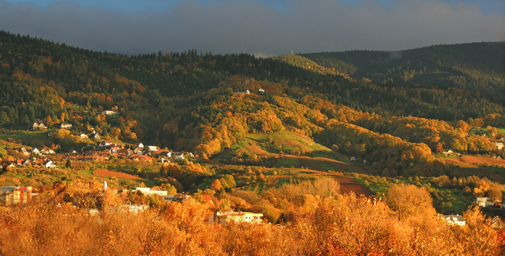 Blick auf die Burg Windeck