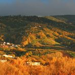 Blick auf die Burg Windeck