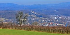 Blick auf die Burgruine Rötteln vom Tüllinger Hügel