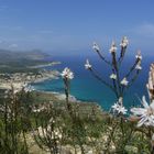 Blick auf die Cala Mesquida (Mallorca)