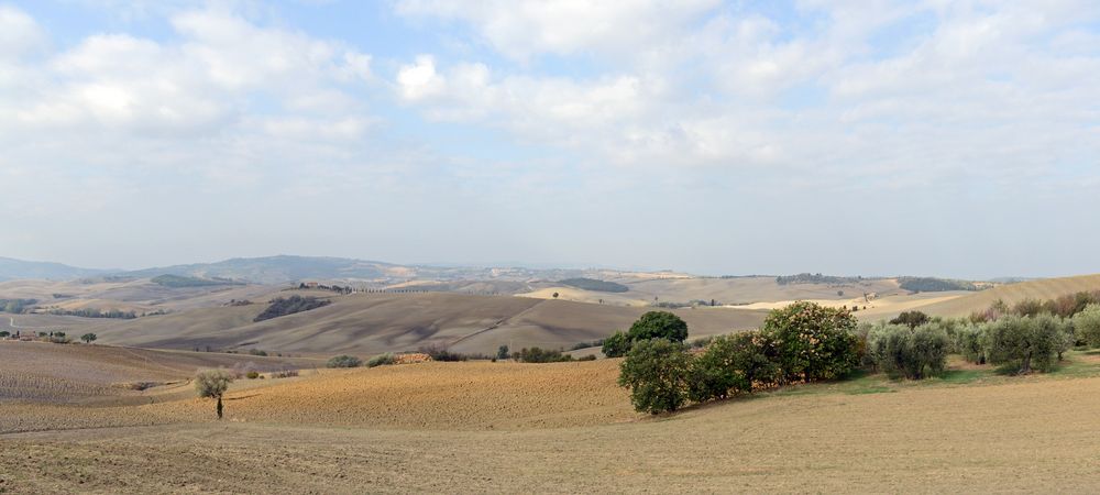 Blick auf die Crete Senesi