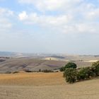 Blick auf die Crete Senesi