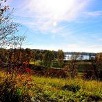 Blick auf die Donau