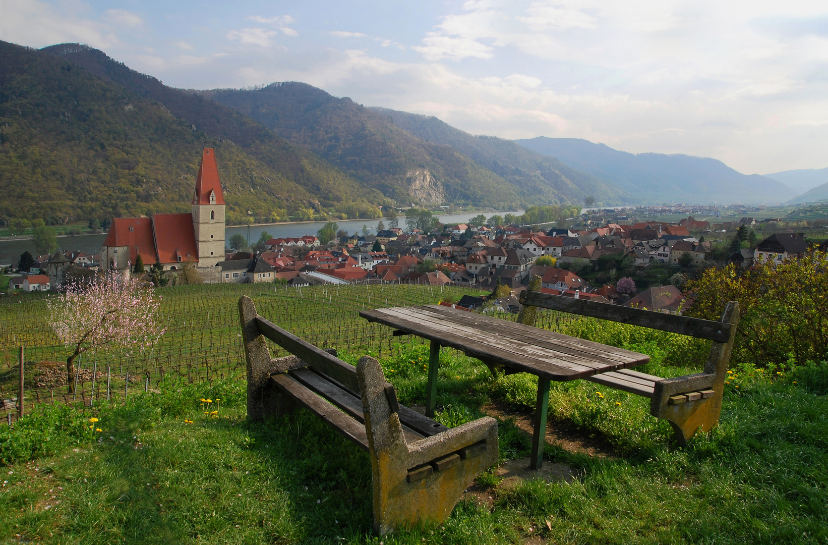 Blick auf die Donau über Weißenkirchen