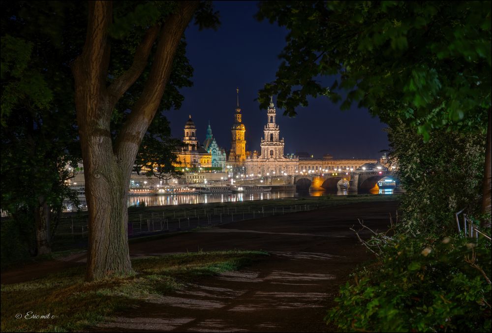 Blick auf die Dredner Skyline