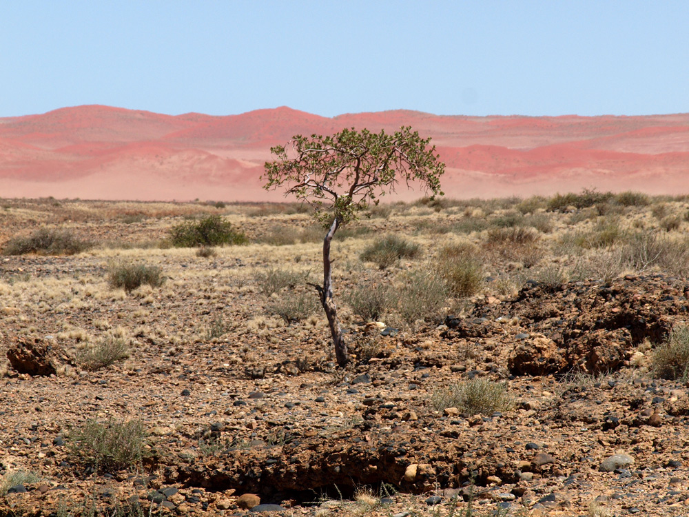 Blick auf die Dünenlandschaft