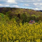 Blick auf die ehemalige Aprather Mühle