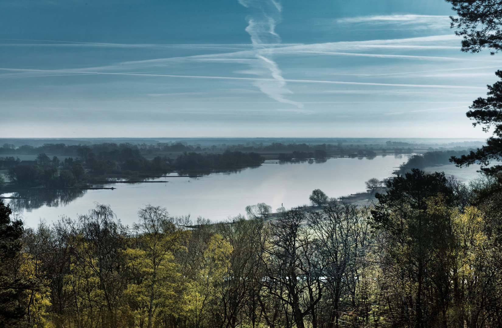 Blick auf die Elbe 1