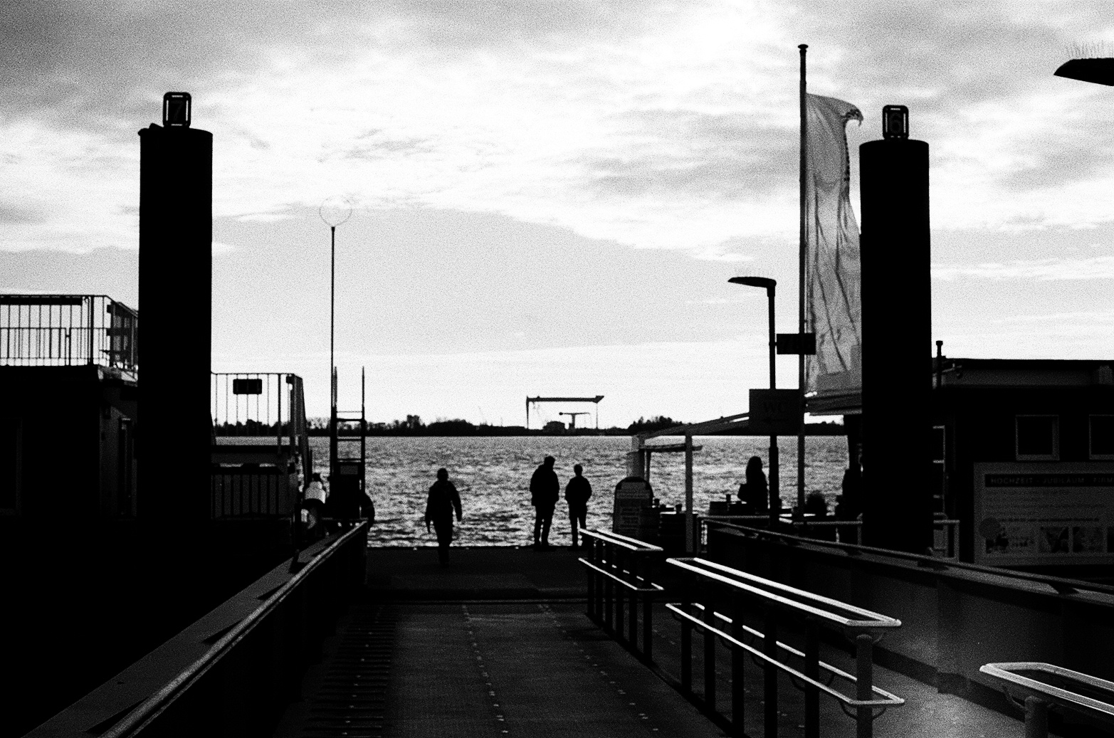 Blick auf die Elbe. 35mm sw Film