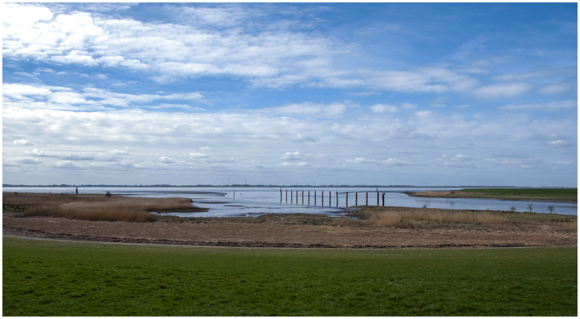 Blick auf die Elbe