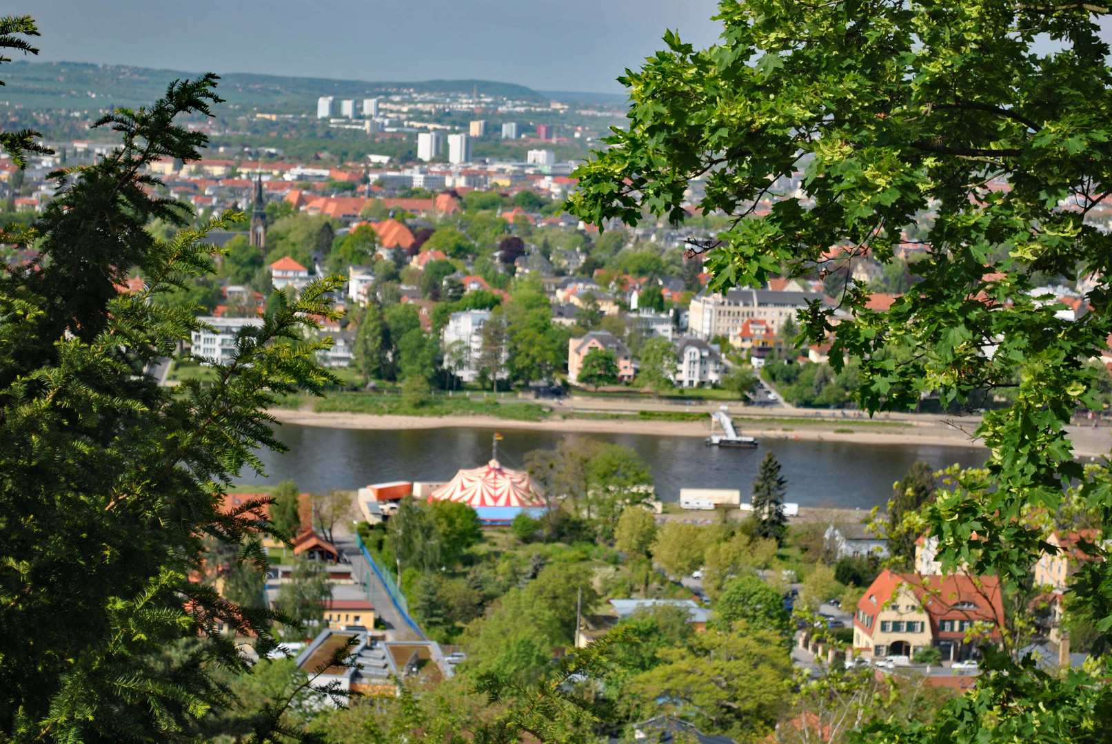 Blick auf die Elbe