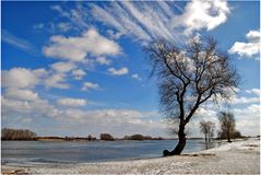 Blick auf die Elbe