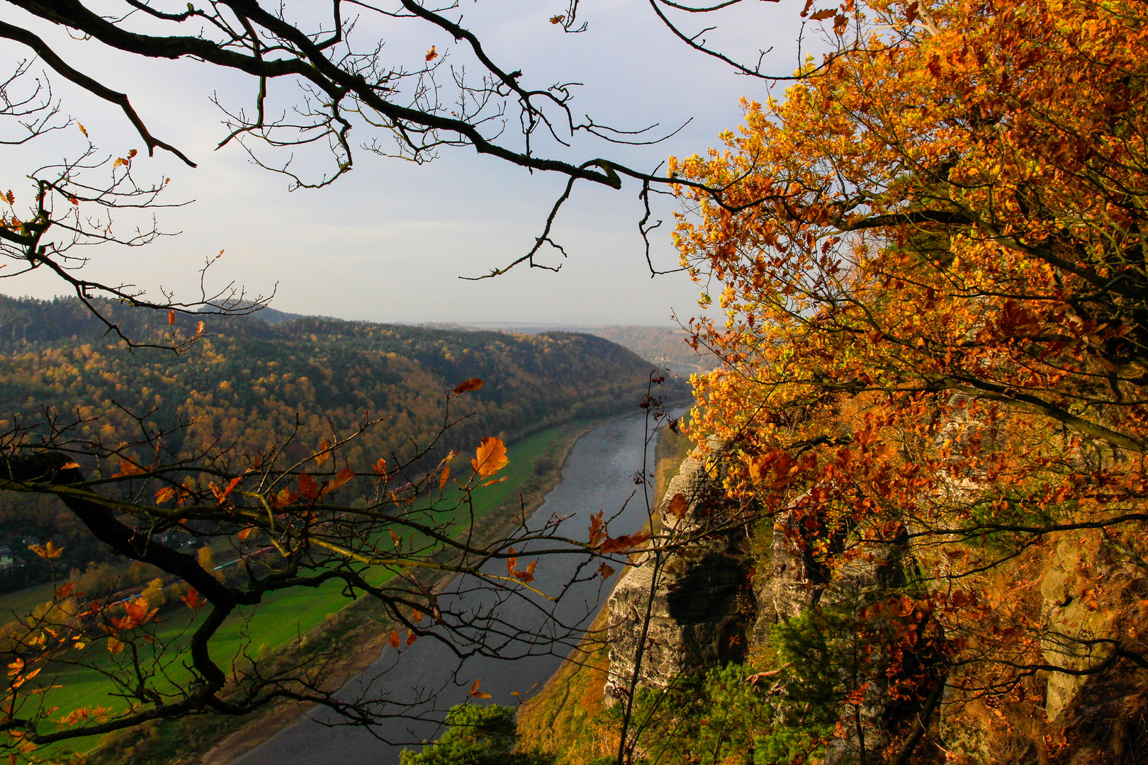 Blick auf die Elbe