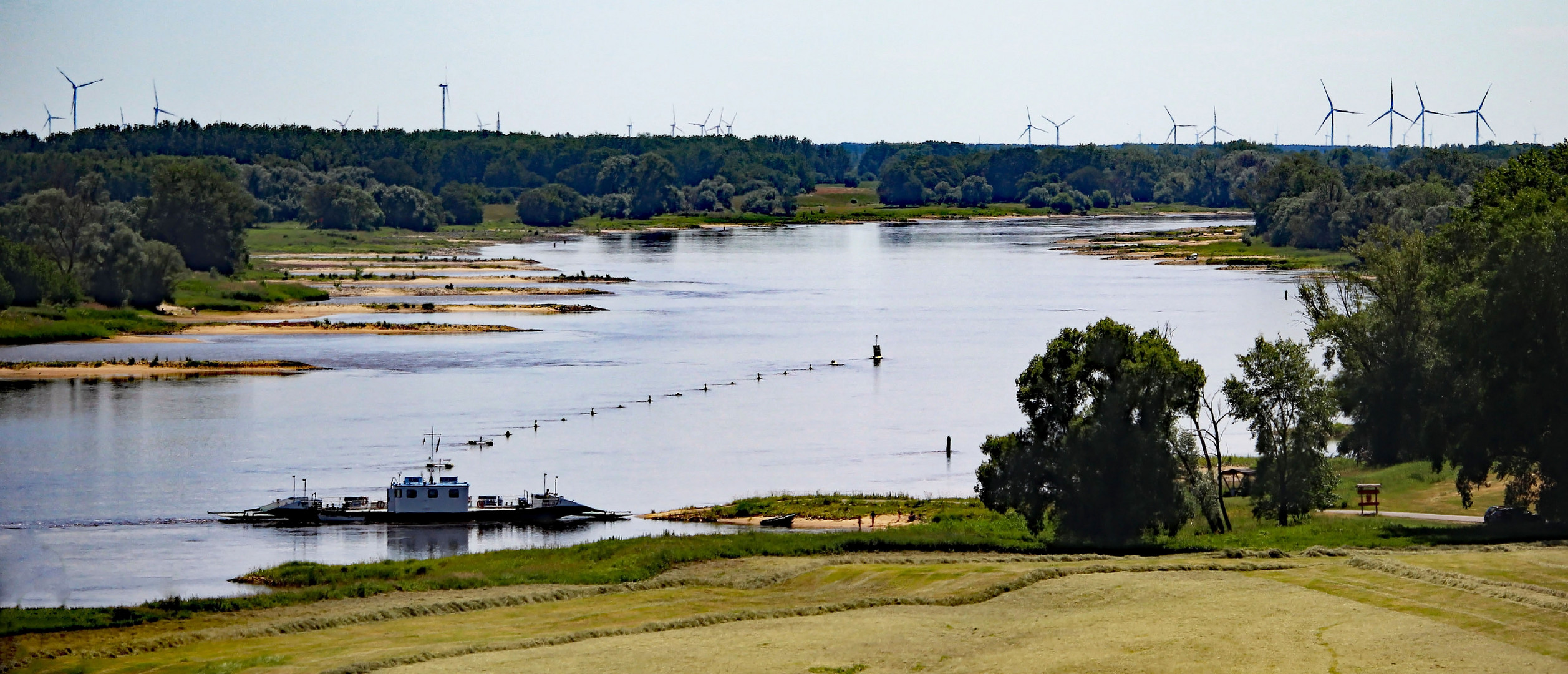 Blick auf die Elbe bei Arneburg