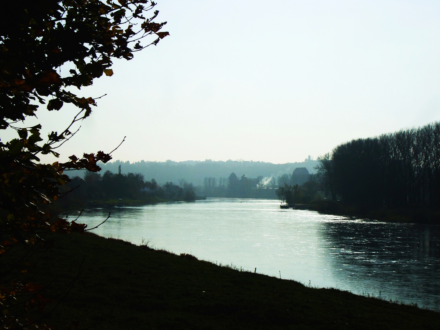 Blick auf die Elbe bei Birkwitz,Pratschwitz