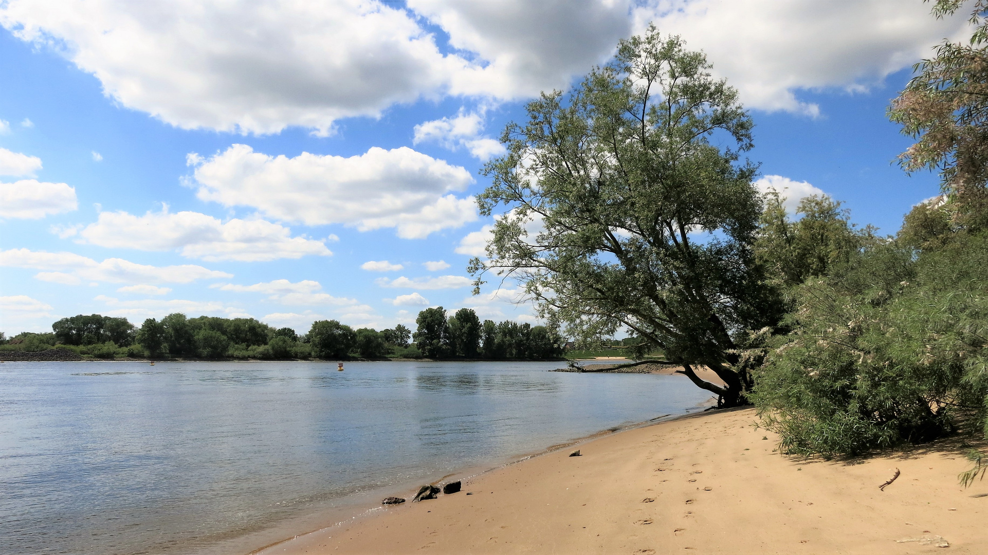 Blick auf die Elbe bei Geesthacht