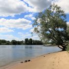 Blick auf die Elbe bei Geesthacht