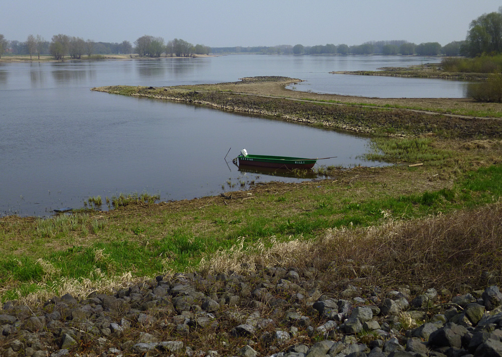 Blick auf die Elbe bei Hitzacker