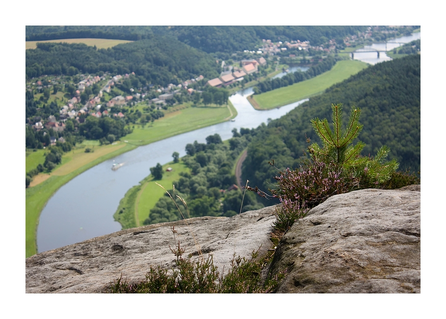 ...Blick auf die Elbe...