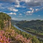 Blick auf die Elbe