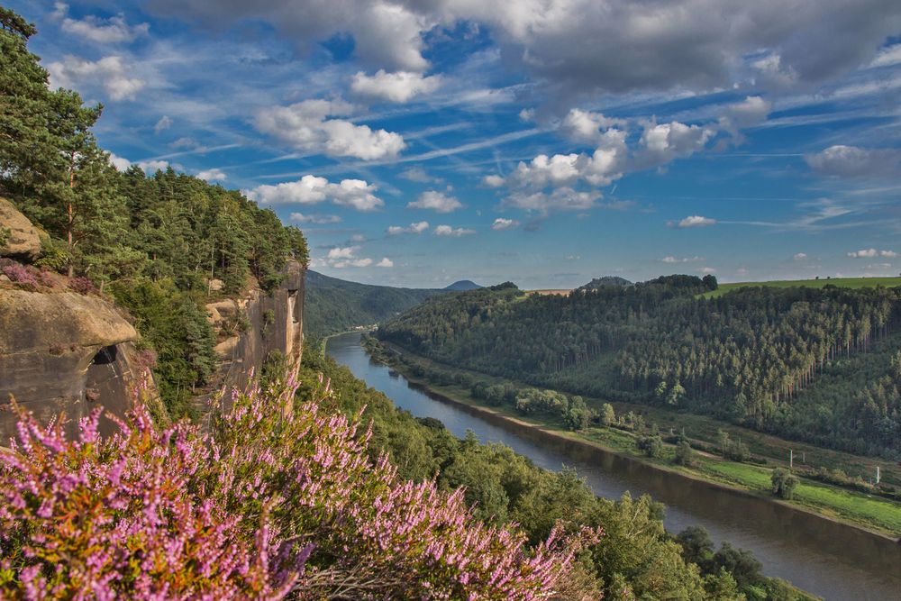 Blick auf die Elbe