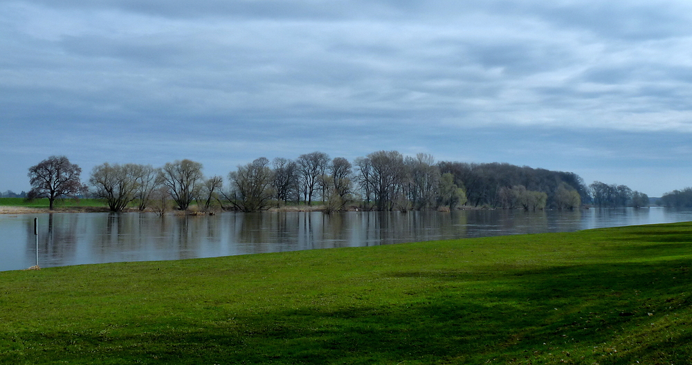 Blick auf die Elbe in Riesa