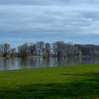 Blick auf die Elbe in Riesa