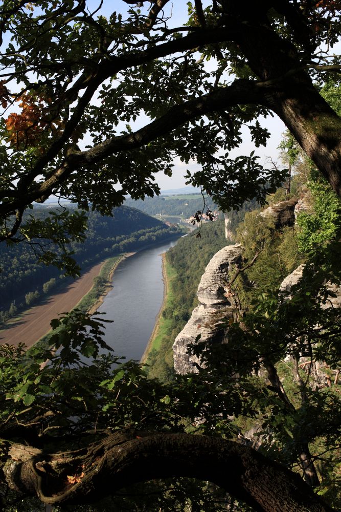 Blick auf die Elbe kurz vor Erreichen der Bastei...