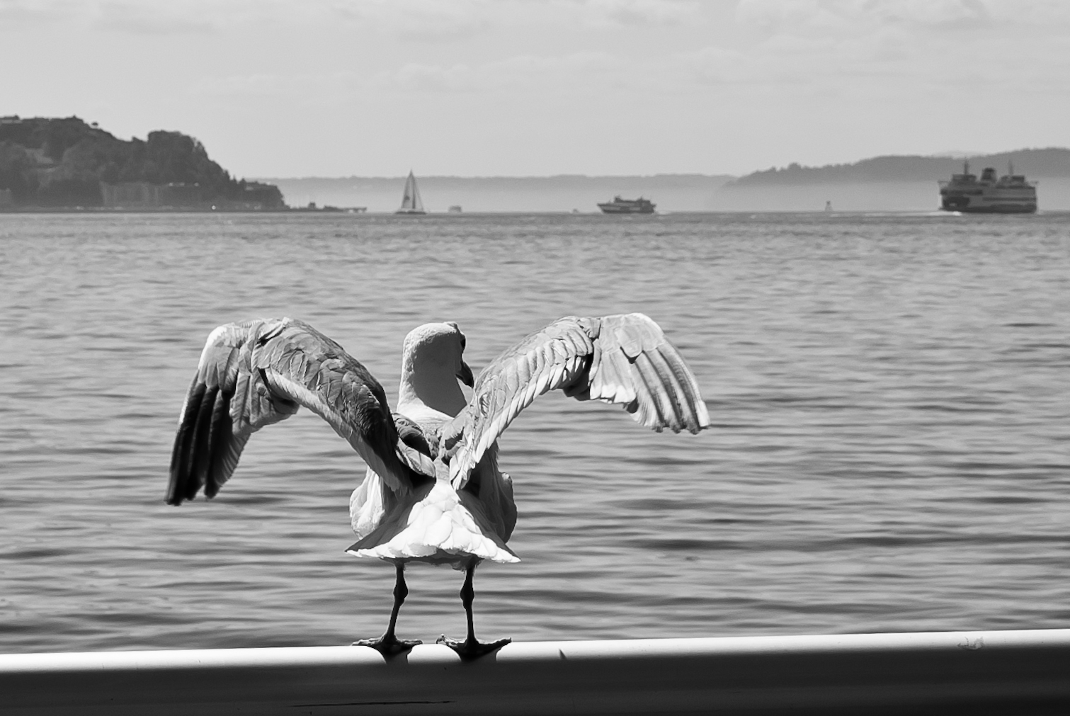 Blick auf die Elliot Bay