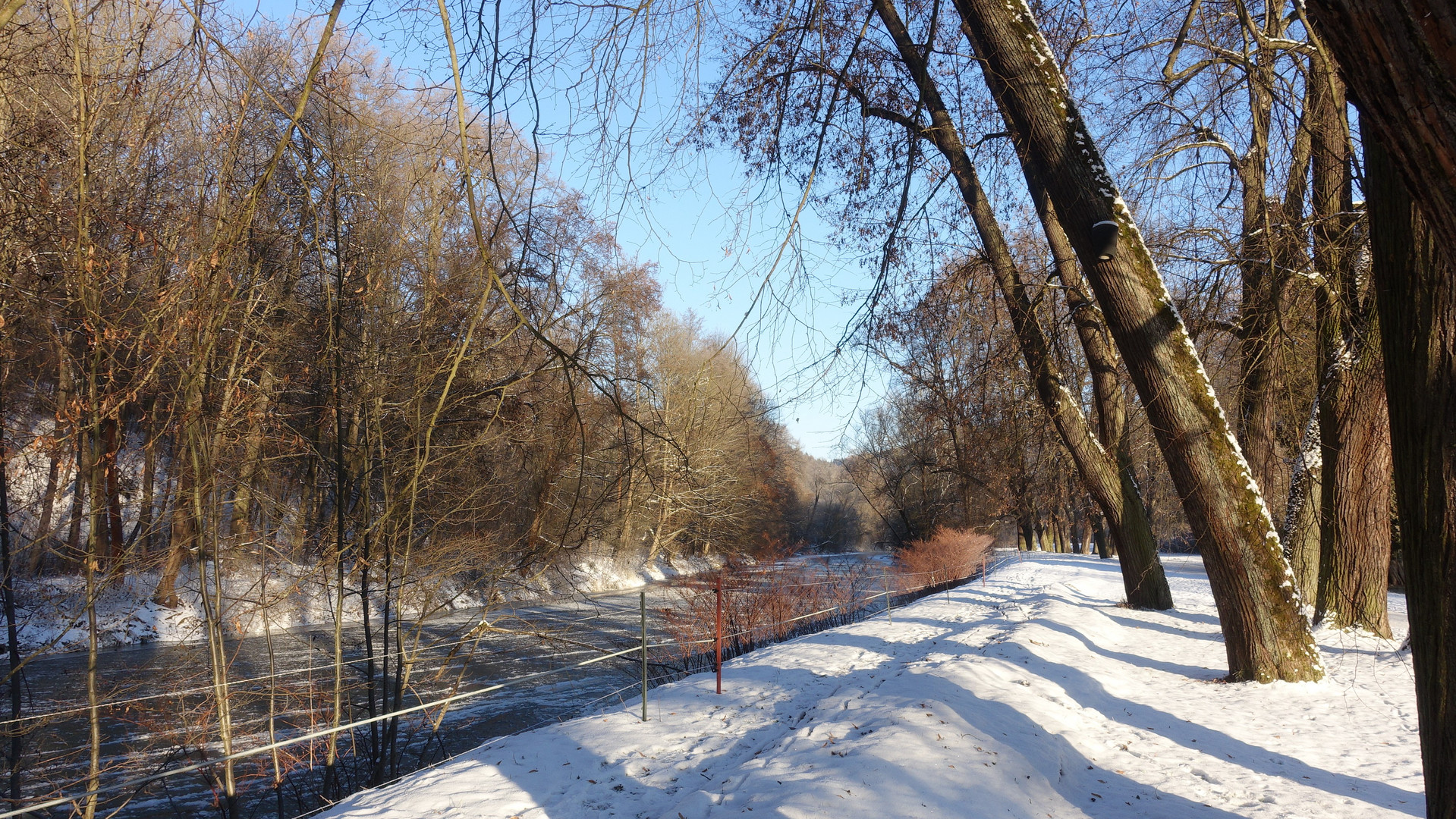 Blick auf die Elster vom Greizer Park aus