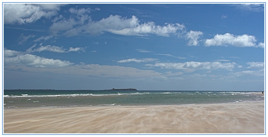 Blick auf die Farne-Islands