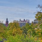 Blick auf die Festung Marienberg in Würzburg