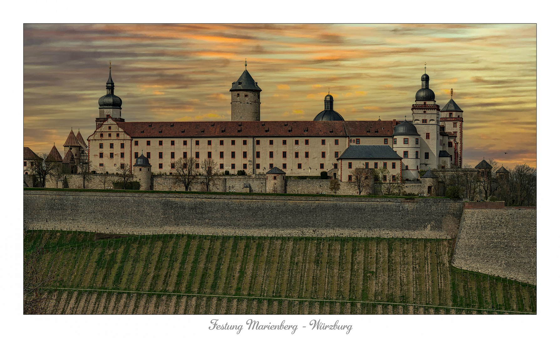 *** Blick auf die Festung Marienberg in Würzburg ***