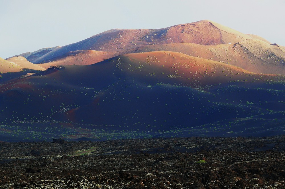 Blick auf die Feuerberge (Timanfaya N.P.)