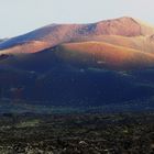 Blick auf die Feuerberge (Timanfaya N.P.)