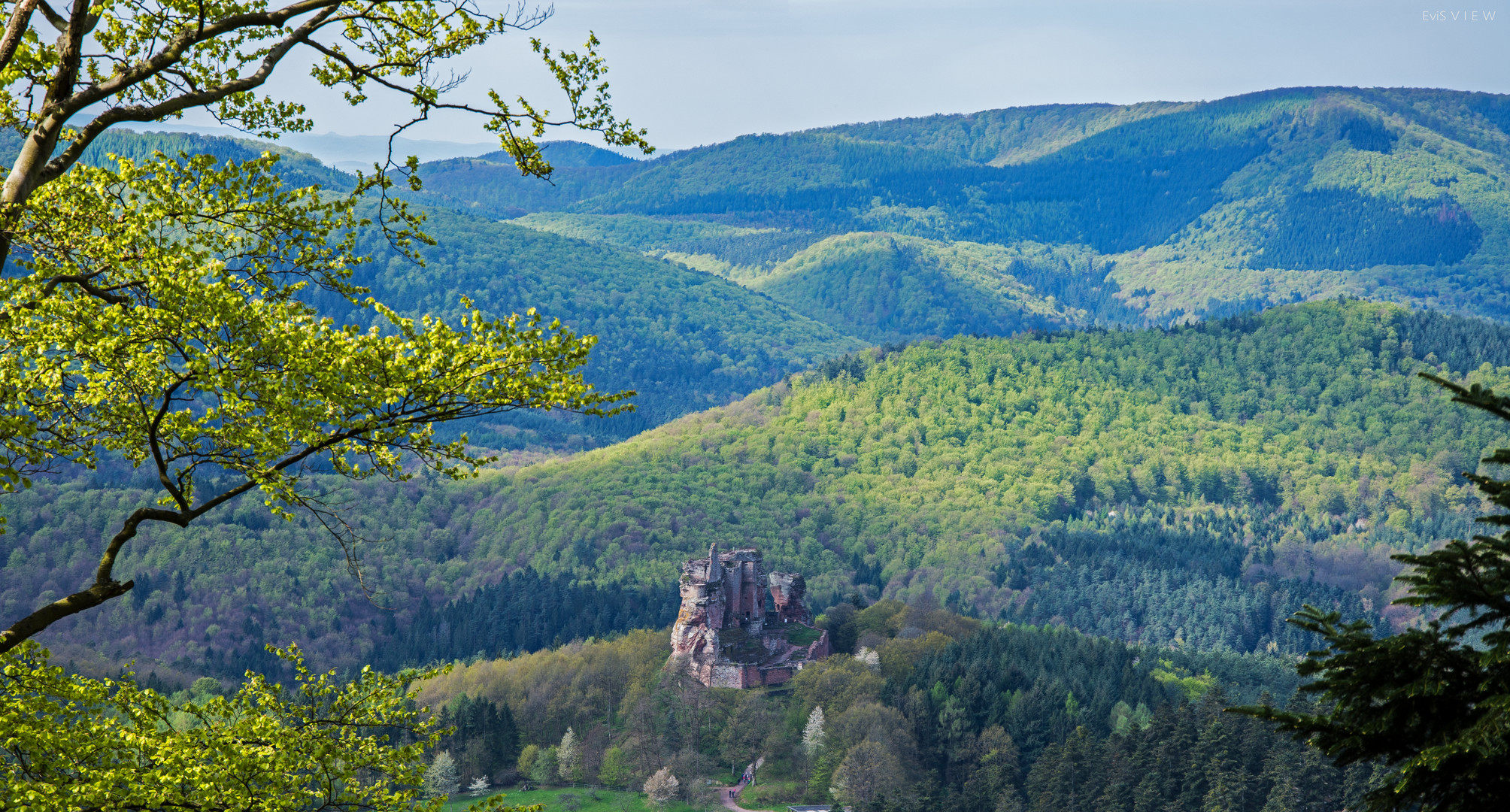 Blick auf die Fleckenstein 