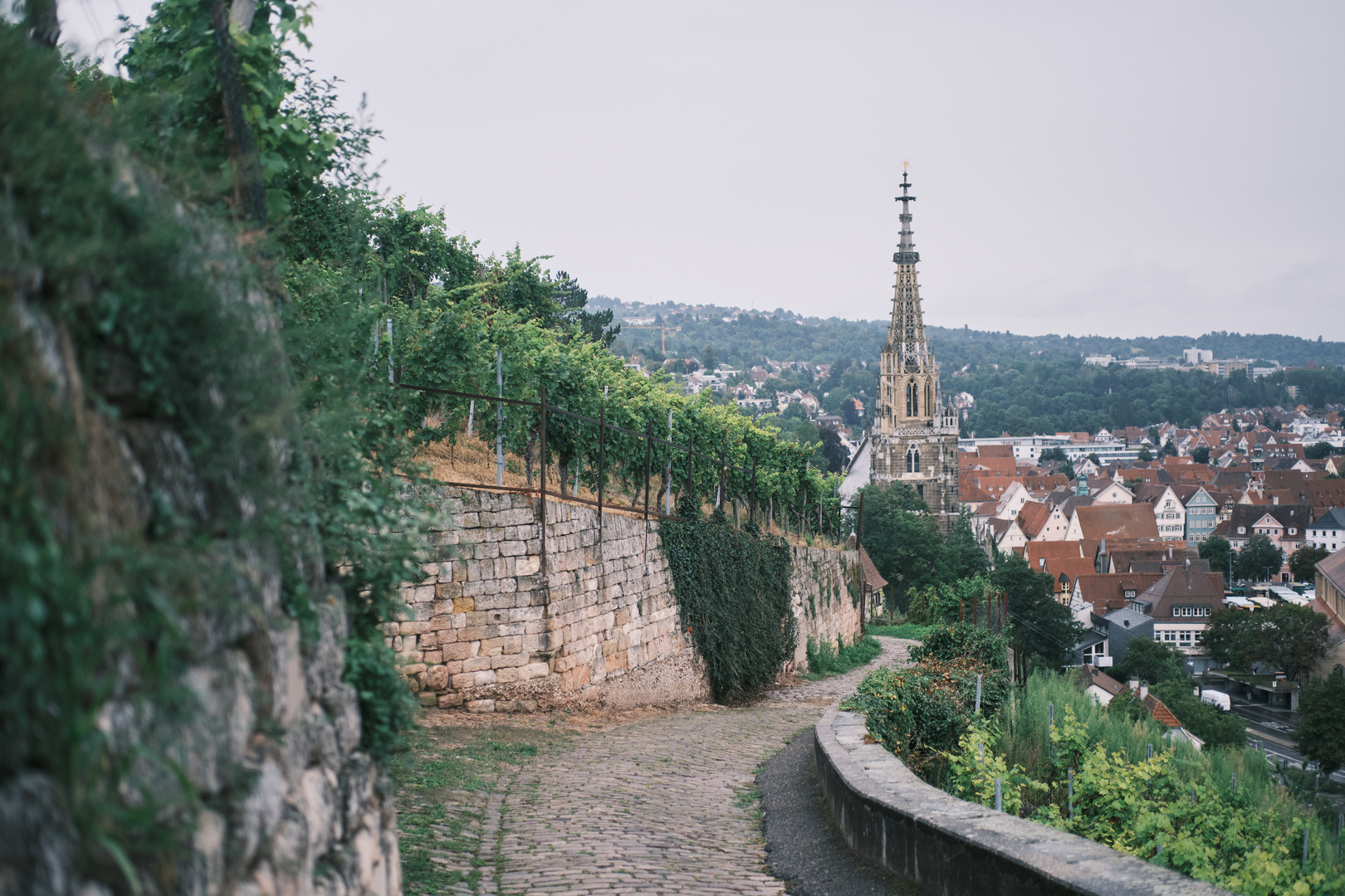 Blick auf die Frauenkirche Esslingen