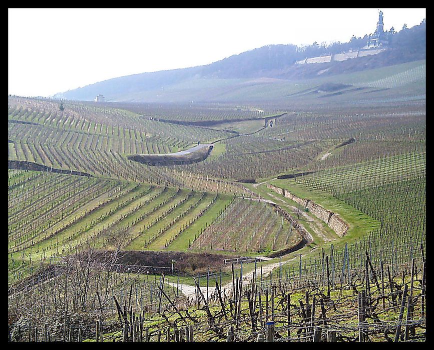 Blick auf die "Germania" in Rüdesheim