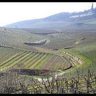 Blick auf die "Germania" in Rüdesheim