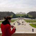 Blick auf die  Gloriette