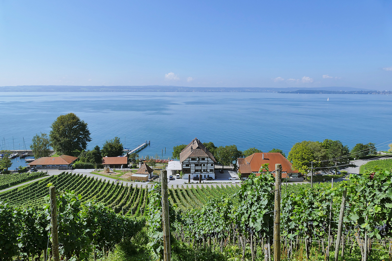 Blick auf die Haltnau und den Bodensee