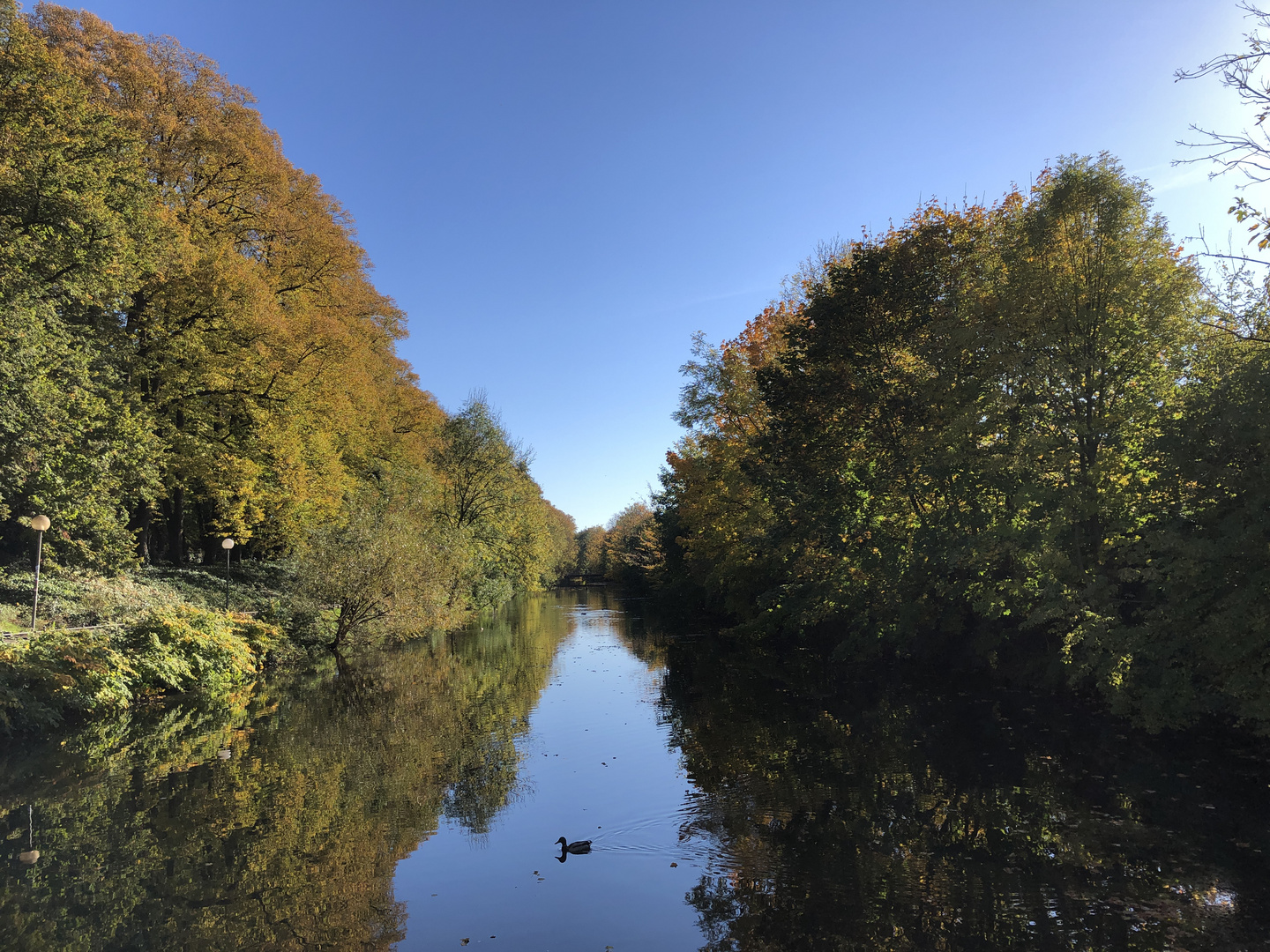 Blick auf die Hase